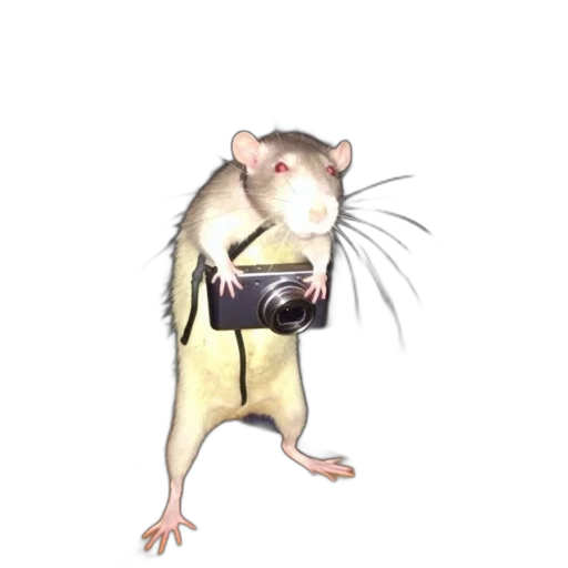 animal, creature, food, jacket, concept art, 3d render, photorealistic, watercolor transparent PNG cut-out