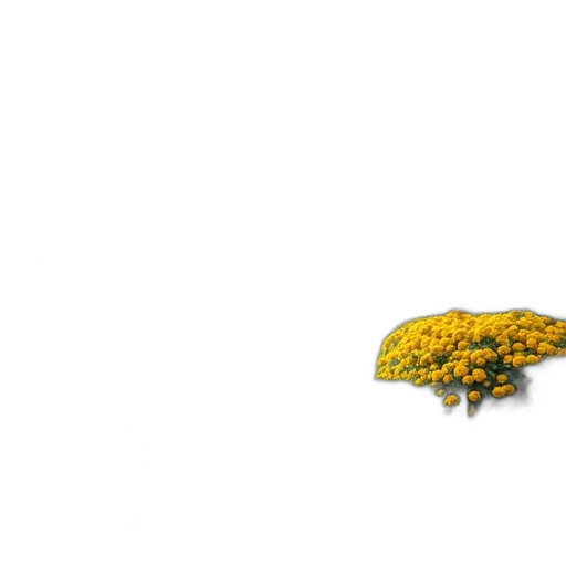 flower, tree, crown, animal, 3d render, photorealistic, pixel art, concept art transparent PNG cut-out