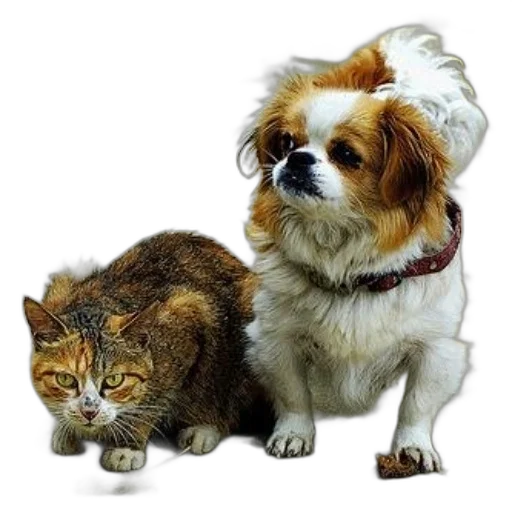 animal, staff, creature, crown, photorealistic, oil painting, 3d render, concept art transparent PNG cut-out