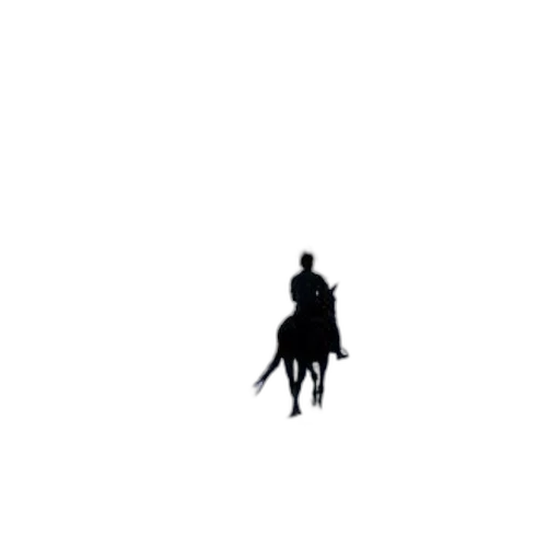 sword, animal, dragon, hat, pixel art, concept art, fantasy art, comic book art transparent PNG cut-out