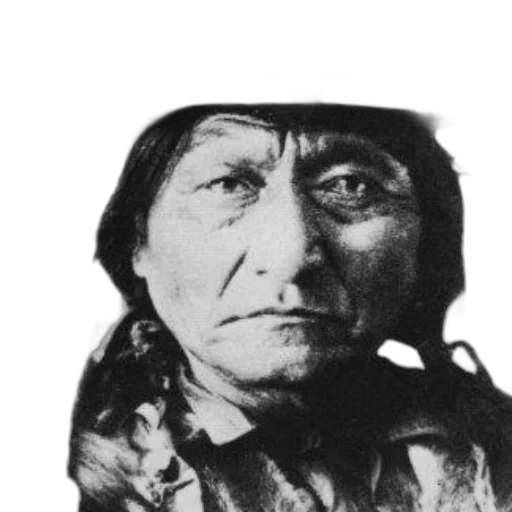 face, mask, hat, animal, photorealistic, black, white, portrait transparent PNG cut-out
