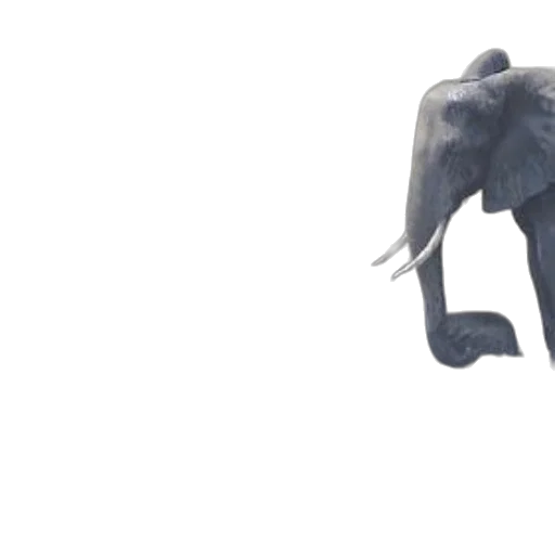 animal, creature, umbrella, concept art, 3d render, photorealistic, watercolor, elephants transparent PNG cut-out