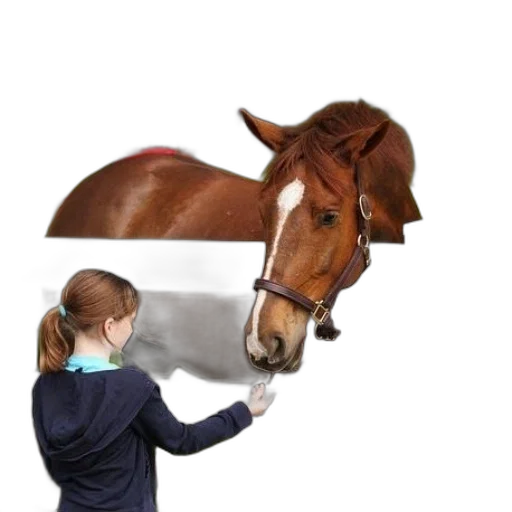 animal, hat, staff, weapon, photorealistic, girl, blue, hoodie transparent PNG cut-out
