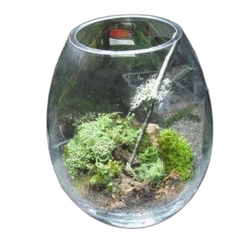 bottle, crown, jewelry, 3d render, photorealistic, underwater, terrarium, various transparent PNG cut-out