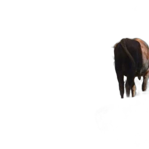 animal, creature, hat, furniture, 3d render, concept art, photorealistic, pixel art transparent PNG cut-out