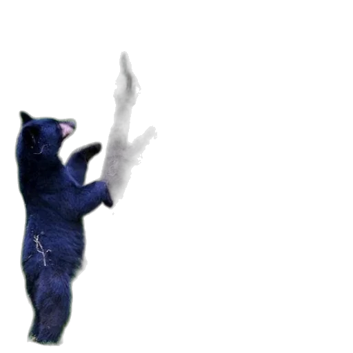 animal, creature, staff, dress, 3d render, concept art, pixel art, outer space transparent PNG cut-out