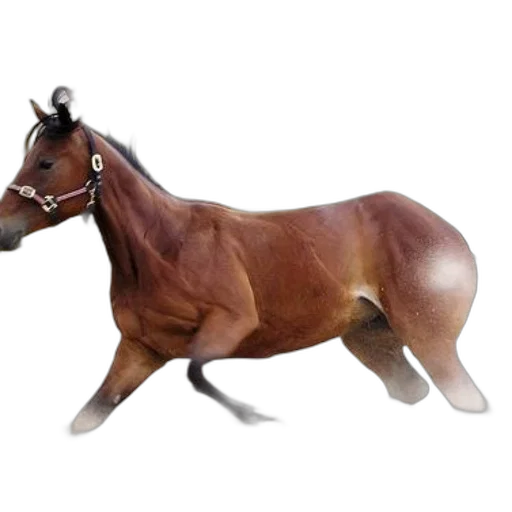 animal, creature, jewelry, furniture, 3d render, photorealistic, concept art, oil painting transparent PNG cut-out