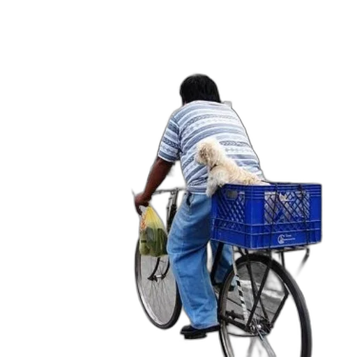 staff, photorealistic, concept art, 3d render, person, rides, bicycle, dog transparent PNG cut-out