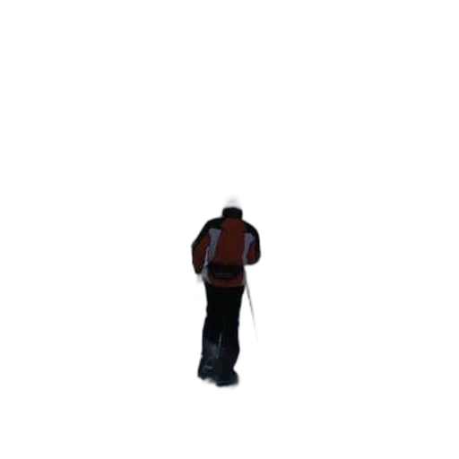 jacket, staff, robot, hat, 3d render, pixel art, concept art, photorealistic transparent PNG cut-out