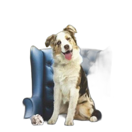 animal, staff, furniture, creature, photorealistic, 3d render, concept art, watercolor transparent PNG cut-out