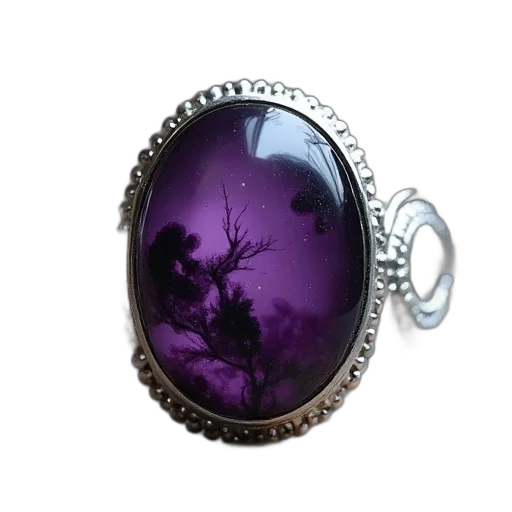 jewelry, dragon, dark, silver, ring, set, purple, black transparent PNG cut-out