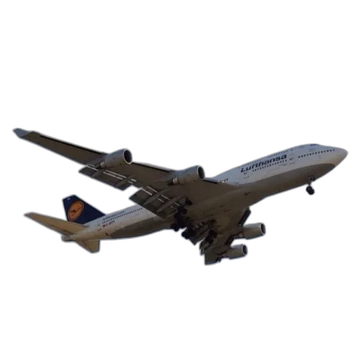 animal, 3d render, photorealistic, concept art, pixel art, lufthansa, airplane, flying transparent PNG cut-out