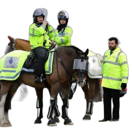 staff, jacket, two, mounted transparent PNG cut-out