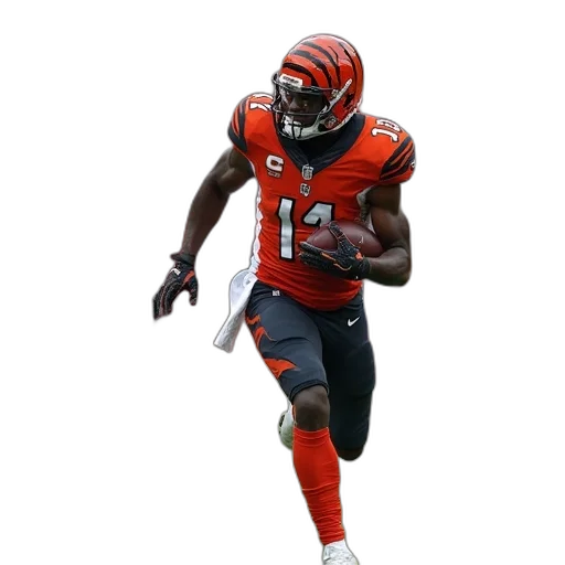 bengals, receiver, barrett, has, last, get, rid, texans transparent PNG cut-out