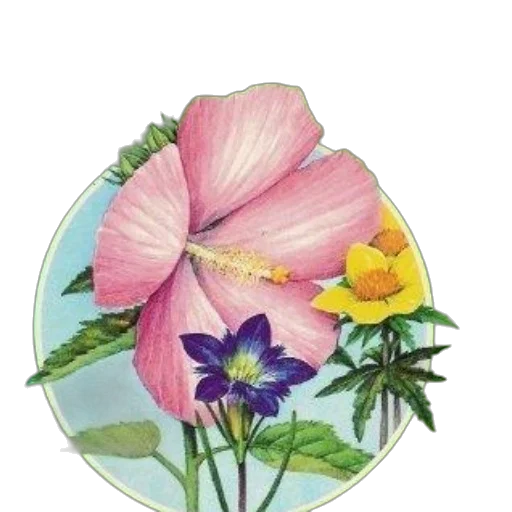 flower, jewelry, crown, umbrella, watercolor, photorealistic, oil painting, pencil sketch transparent PNG cut-out