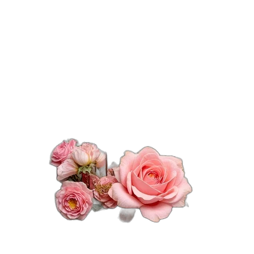 flower, jewelry, crown, hat, photorealistic, 3d render, watercolor, pixel art transparent PNG cut-out