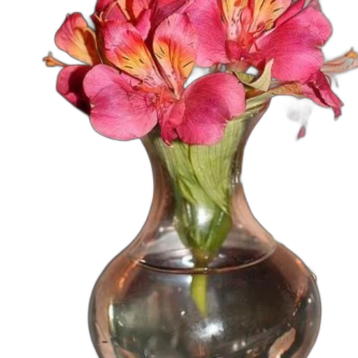 flower, crown, bottle, jewelry, photorealistic, 3d render, oil painting, watercolor transparent PNG cut-out