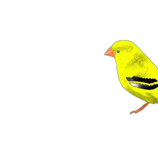 animal, staff, creature, hat transparent PNG cut-out