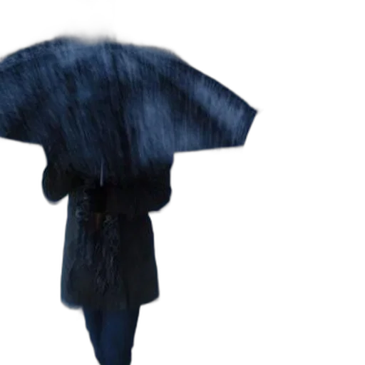 umbrella, jacket, dress, hat transparent PNG cut-out