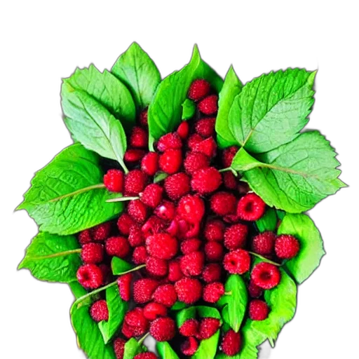 crown, food, flower, jewelry transparent PNG cut-out