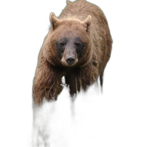 animal, creature, face, staff, photorealistic, concept art, fantasy art, 3d render transparent PNG cut-out
