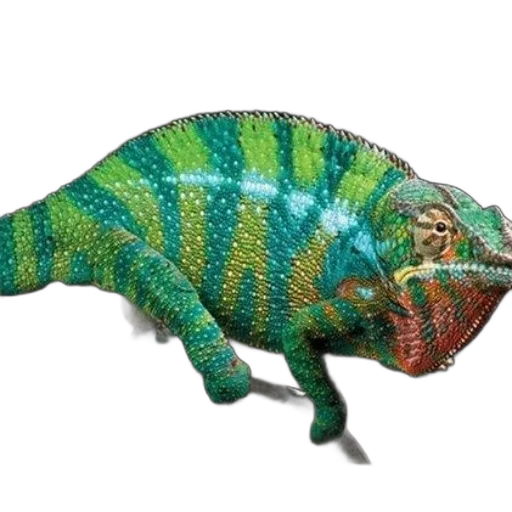 dragon, animal, creature, staff, 3d render, concept art, photorealistic, fantasy art transparent PNG cut-out