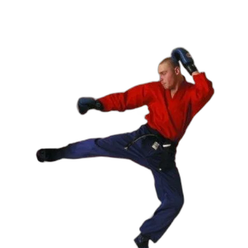 jacket, staff, 3d render, photorealistic, kickboxing, handbook, cover, features transparent PNG cut-out