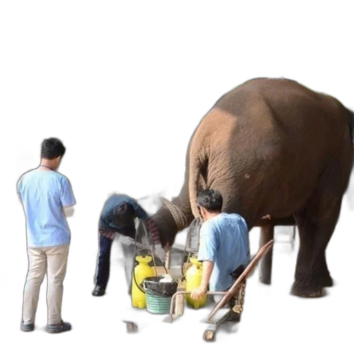animal, staff, umbrella, concept art, 3d render, photorealistic, oil painting, forest transparent PNG cut-out