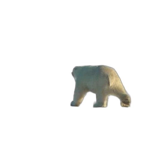 animal, creature, car, staff, 3d render, pixel art, concept art, photorealistic transparent PNG cut-out