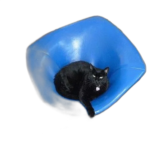 hat, furniture, crown, animal, 3d render, photorealistic, blue, black transparent PNG cut-out