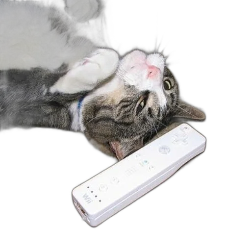 animal, staff, creature, weapon, cat, laying, back, next transparent PNG cut-out