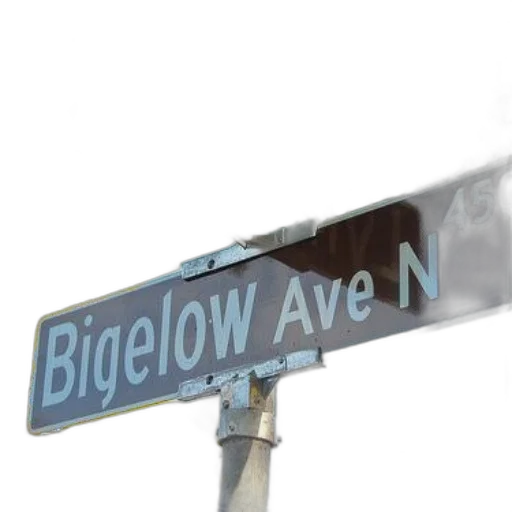 3d render, photorealistic, city street, street, signs, lynn, bigelow, ave transparent PNG cut-out