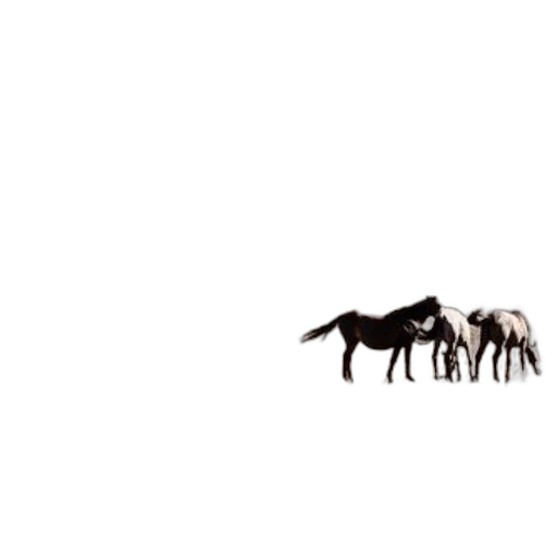 animal, dragon, creature, furniture transparent PNG cut-out