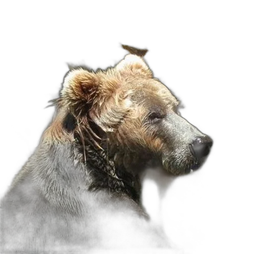animal, creature, hair, hat, photorealistic, concept art, fantasy art, 3d render transparent PNG cut-out