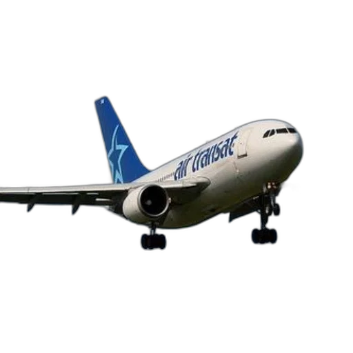 weapon, animal, photorealistic, 3d render, air, transat, airplane, captured transparent PNG cut-out