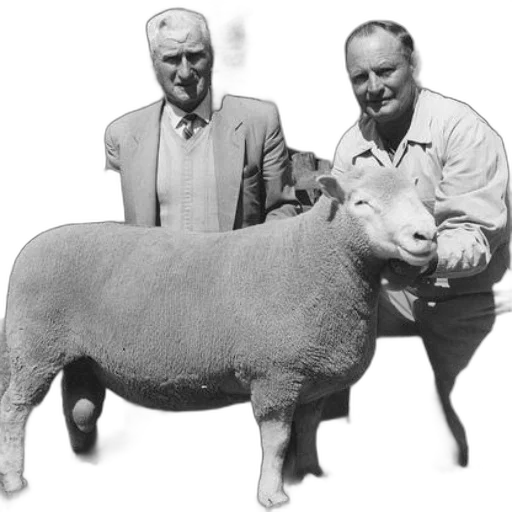 animal, staff, two, men, stand, beside, sheep, black transparent PNG cut-out