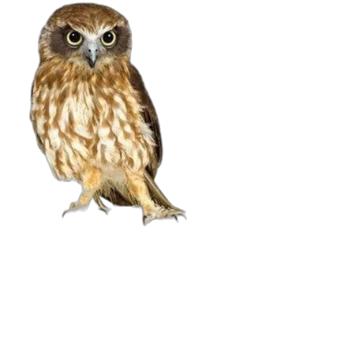 animal, creature, staff, dress, photorealistic, 3d render, concept art, watercolor transparent PNG cut-out