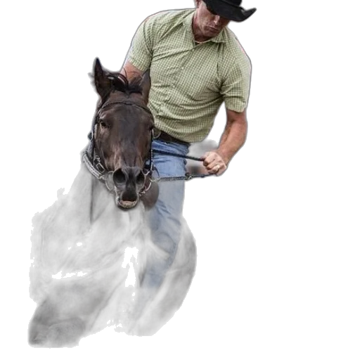 animal, hat, staff, creature, photorealistic, oil painting, concept art, fantasy art transparent PNG cut-out