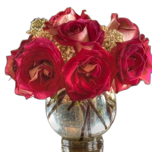 crown, jewelry, flower, photorealistic transparent PNG cut-out