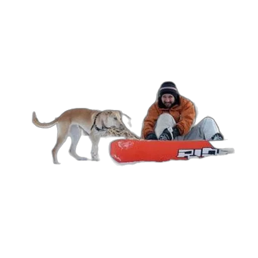 animal, staff, creature, snow, person, orange, jacket, sits transparent PNG cut-out