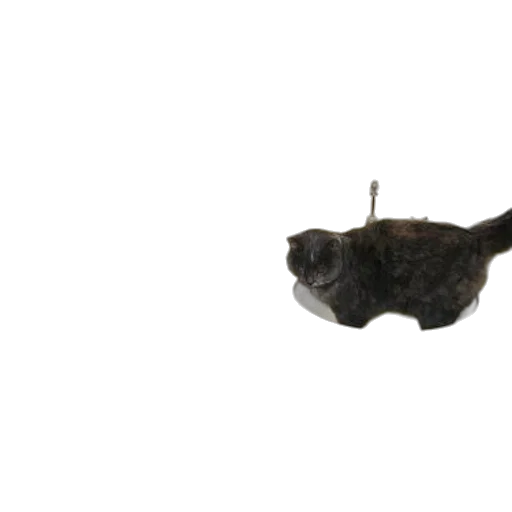 staff, animal, crown, jewelry, 3d render, photorealistic, concept art, underwater transparent PNG cut-out