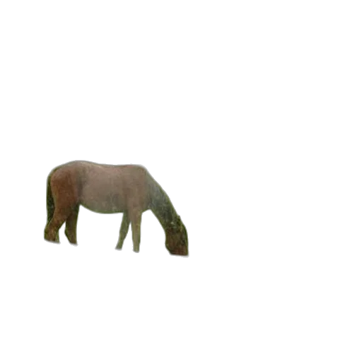 animal, creature, furniture, hat, 3d render, pixel art, concept art, photorealistic transparent PNG cut-out