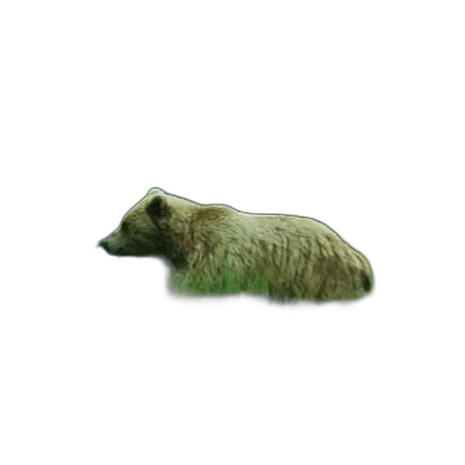 animal, hair, creature, staff, 3d render, photorealistic, concept art, pixel art transparent PNG cut-out