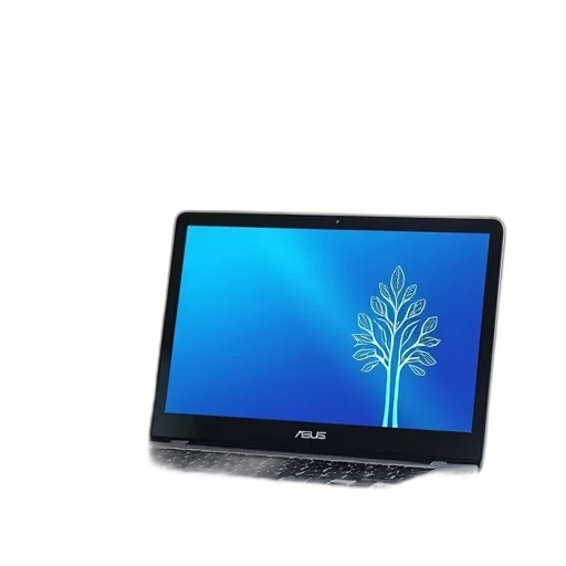 staff, flower, crown, animal, 3d render, sleek, silver, laptop transparent PNG cut-out