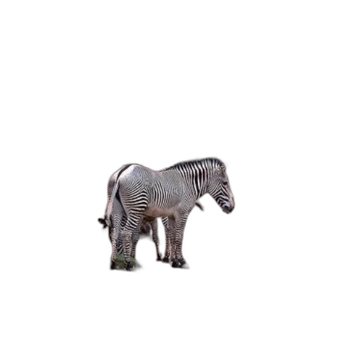 animal, creature, robot, hair, 3d render, photorealistic, pixel art, concept art transparent PNG cut-out