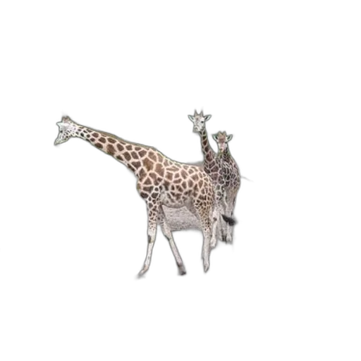 animal, creature, staff, jewelry, 3d render, concept art, photorealistic, pixel art transparent PNG cut-out
