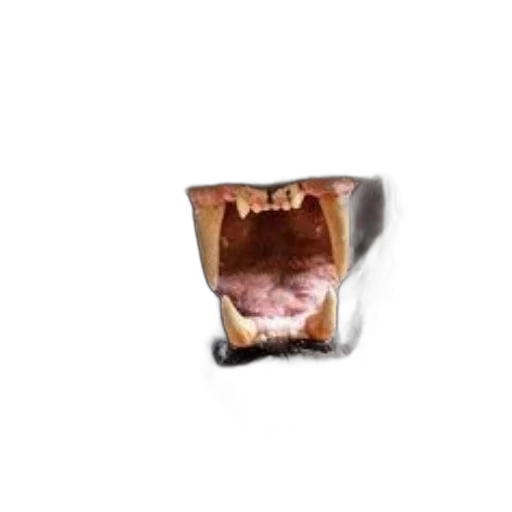 face, mask, food, crown, photorealistic, 3d render, concept art, fierce transparent PNG cut-out