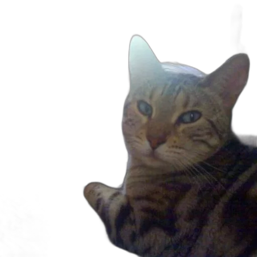 animal, creature, staff, face, photorealistic, 3d render, vaporwave, pixel art transparent PNG cut-out