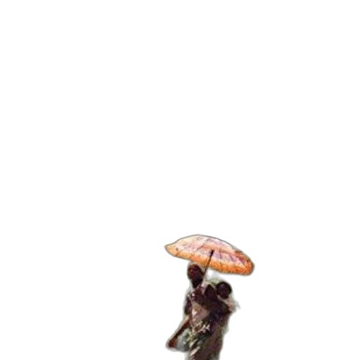 umbrella, staff, hat, food, concept art, pixel art, 3d render, photorealistic transparent PNG cut-out