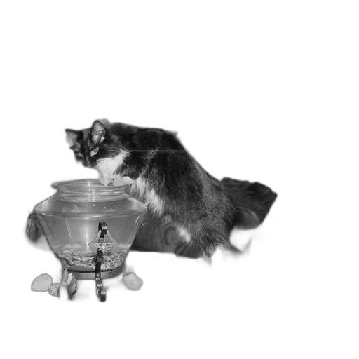 animal, furniture, staff, creature, photorealistic, 3d render, concept art, underwater transparent PNG cut-out